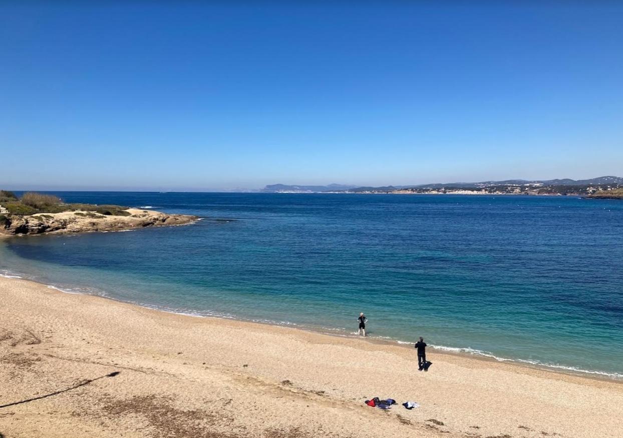 Sea-View - Wifi - Parking Lejlighed Six-Fours-les-Plages Eksteriør billede